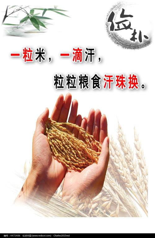 新奥尔良（New Orleans）病假条